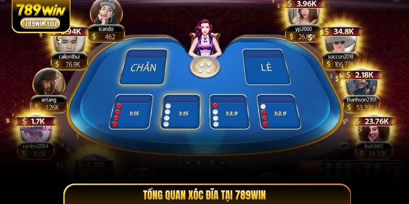 Tổng quan xóc đĩa tại 789WIN